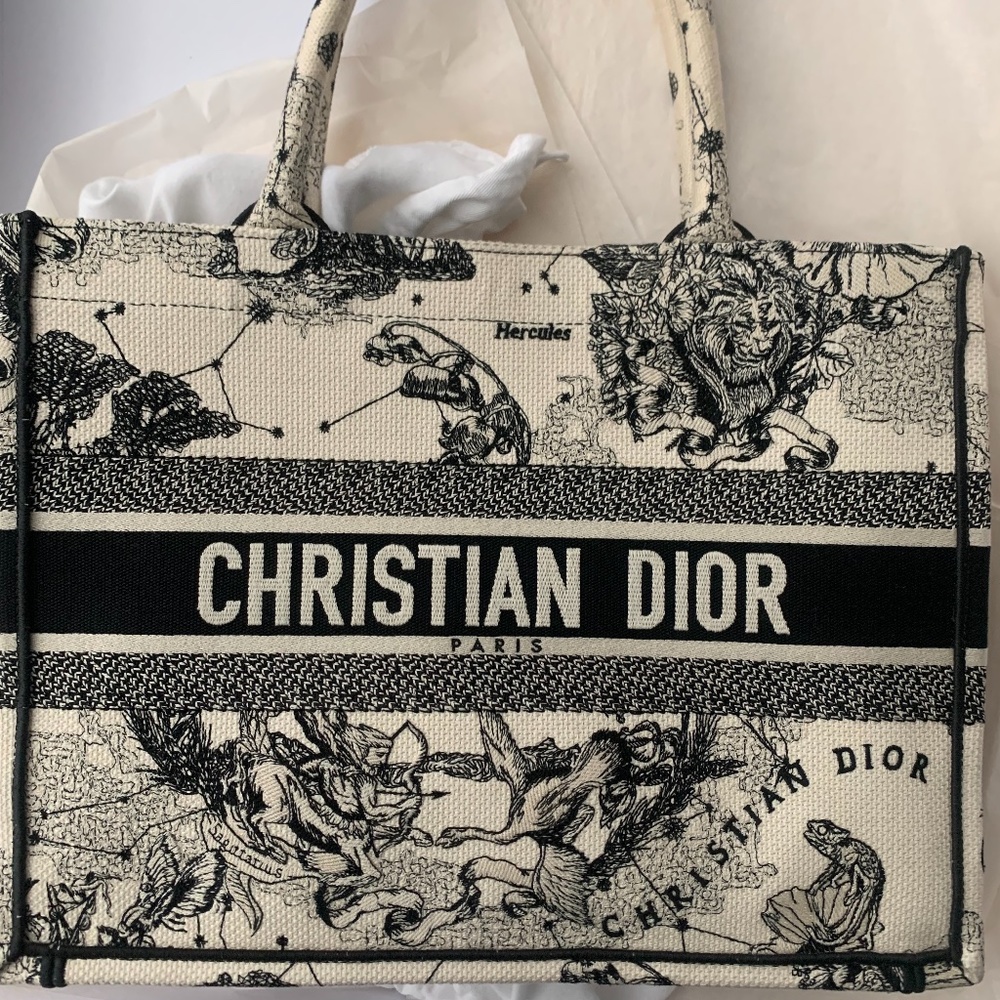 Dior book tote bag